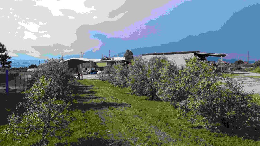 OmNJSJLX_DJI_0424 (1).jpg